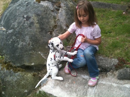 Abbey och Victoria 1:a dagen på Skeppstadsholmen